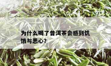 为什么喝了普洱茶会感到饥饿与恶心？