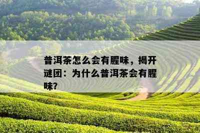 普洱茶怎么会有腥味，揭开谜团：为什么普洱茶会有腥味？