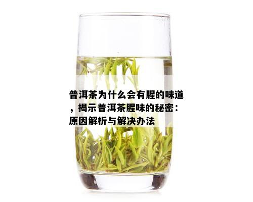 普洱茶为什么会有腥的味道，揭示普洱茶腥味的秘密：原因解析与解决办法