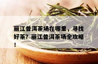 丽江普洱茶场在哪里，寻找好茶？丽江普洱茶场全攻略！