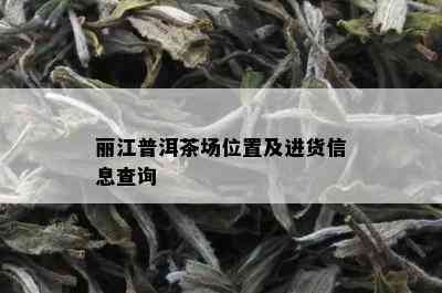 丽江普洱茶场位置及进货信息查询