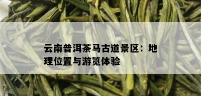 云南普洱茶马古道景区：地理位置与游览体验