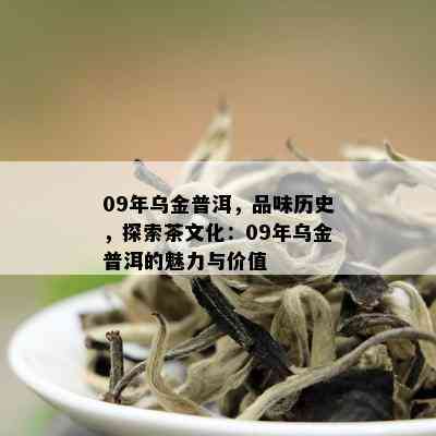 09年乌金普洱，品味历史，探索茶文化：09年乌金普洱的魅力与价值