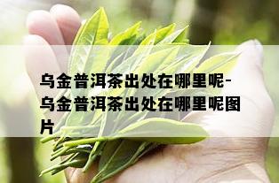 乌金普洱茶出处在哪里呢-乌金普洱茶出处在哪里呢图片