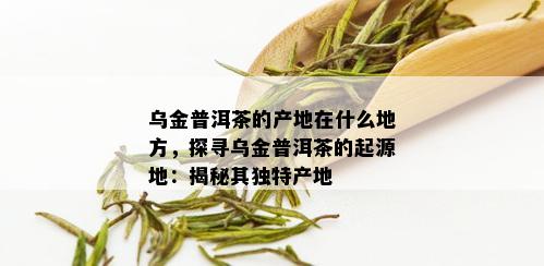 乌金普洱茶的产地在什么地方，探寻乌金普洱茶的起源地：揭秘其独特产地