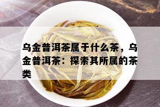 乌金普洱茶属于什么茶，乌金普洱茶：探索其所属的茶类