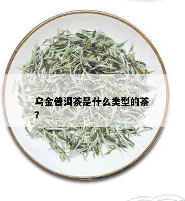 乌金普洱茶是什么类型的茶？