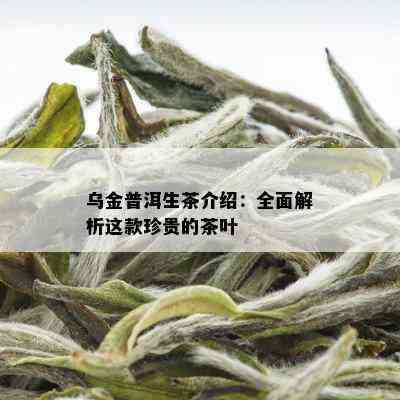 乌金普洱生茶介绍：全面解析这款珍贵的茶叶