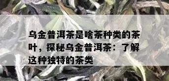 乌金普洱茶是啥茶种类的茶叶，探秘乌金普洱茶：了解这种独特的茶类