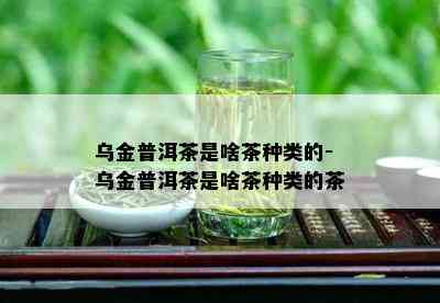 乌金普洱茶是啥茶种类的-乌金普洱茶是啥茶种类的茶