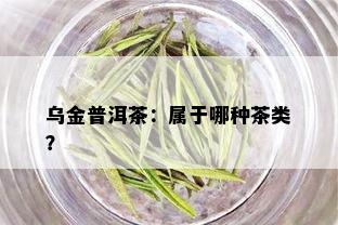 乌金普洱茶：属于哪种茶类？