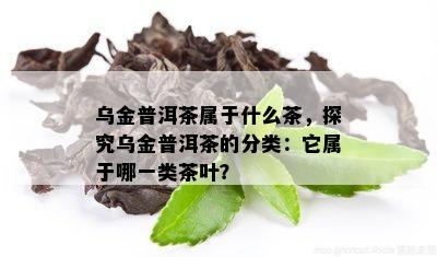 乌金普洱茶属于什么茶，探究乌金普洱茶的分类：它属于哪一类茶叶？