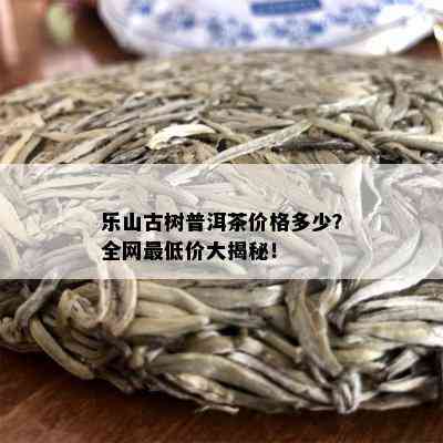 乐山古树普洱茶价格多少？全网更低价大揭秘！