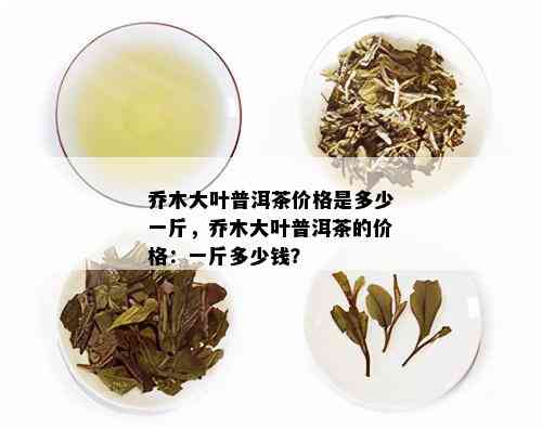 乔木大叶普洱茶价格是多少一斤，乔木大叶普洱茶的价格：一斤多少钱？