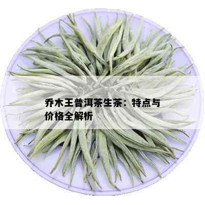 乔木王普洱茶生茶：特点与价格全解析