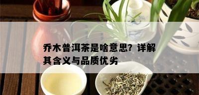 乔木普洱茶是啥意思？详解其含义与品质优劣