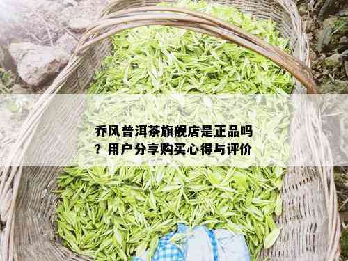 乔风普洱茶旗舰店是正品吗？用户分享购买心得与评价