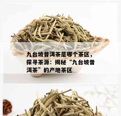 九台坡普洱茶是哪个茶区，探寻茶源：揭秘“九台坡普洱茶”的产地茶区