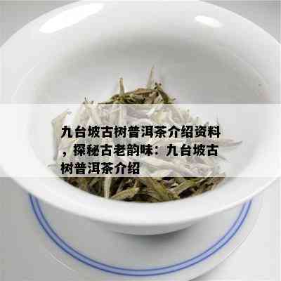 九台坡古树普洱茶介绍资料，探秘古老韵味：九台坡古树普洱茶介绍