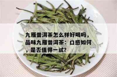 九雁普洱茶怎么样好喝吗，品味九雁普洱茶：口感如何，是否值得一试？