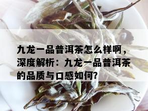 九龙一品普洱茶怎么样啊，深度解析：九龙一品普洱茶的品质与口感如何？