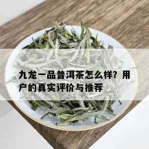 九龙一品普洱茶怎么样？用户的真实评价与推荐