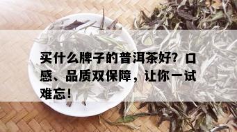 买什么牌子的普洱茶好？口感、品质双保障，让你一试难忘！