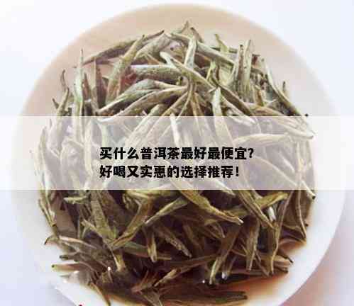 买什么普洱茶更好更便宜？好喝又实惠的选择推荐！