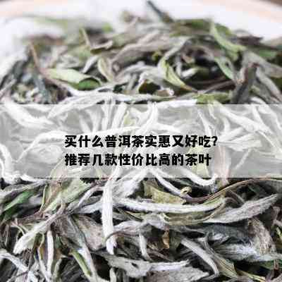 买什么普洱茶实惠又好吃？推荐几款性价比高的茶叶