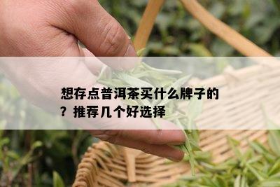 想存点普洱茶买什么牌子的？推荐几个好选择