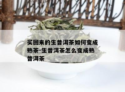 买回来的生普洱茶如何变成熟茶-生普洱茶怎么变成熟普洱茶