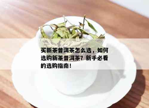 买新茶普洱茶怎么选，如何选购新茶普洱茶？新手必看的选购指南！