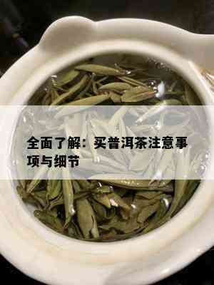 全面了解：买普洱茶注意事项与细节