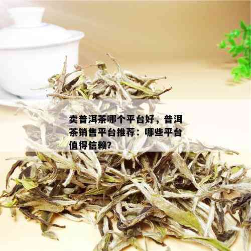 卖普洱茶哪个平台好，普洱茶销售平台推荐：哪些平台值得信赖？