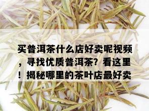 买普洱茶什么店好卖呢视频，寻找优质普洱茶？看这里！揭秘哪里的茶叶店更好卖