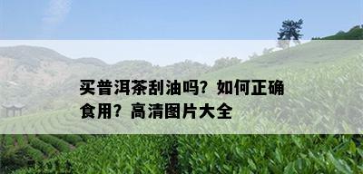 买普洱茶刮油吗？如何正确食用？高清图片大全