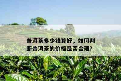 普洱茶多少钱算好，如何判断普洱茶的价格是否合理？