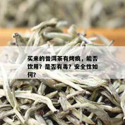 买来的普洱茶有烤痕，能否饮用？是否有？安全性如何？