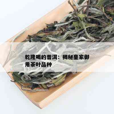 乾隆喝的普洱：揭秘皇家御用茶叶品种