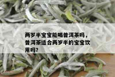 两岁半宝宝能喝普洱茶吗，普洱茶适合两岁半的宝宝饮用吗？