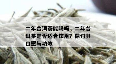 二年普洱茶能喝吗，二年普洱茶是否适合饮用？探讨其口感与功效