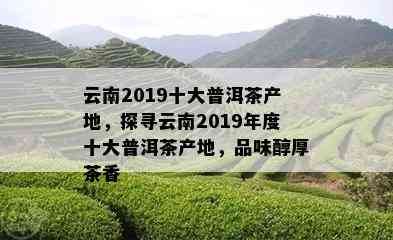 云南2019十大普洱茶产地，探寻云南2019年度十大普洱茶产地，品味醇厚茶香