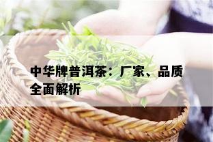 中华牌普洱茶：厂家、品质全面解析