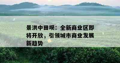 景洪中田坝：全新商业区即将开放，引领城市商业发展新趋势