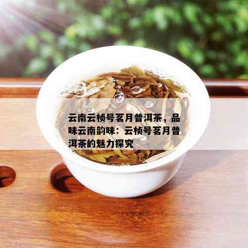 云南云桢号茗月普洱茶，品味云南韵味：云桢号茗月普洱茶的魅力探究