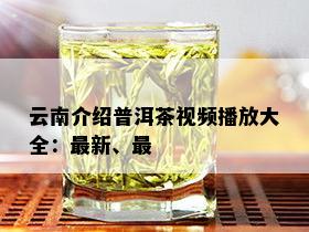 云南介绍普洱茶视频播放大全：最新、最