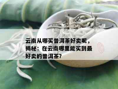 云南从哪买普洱茶好卖呢，揭秘：在云南哪里能买到更好卖的普洱茶？