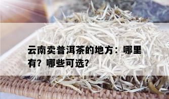 云南卖普洱茶的地方：哪里有？哪些可选？