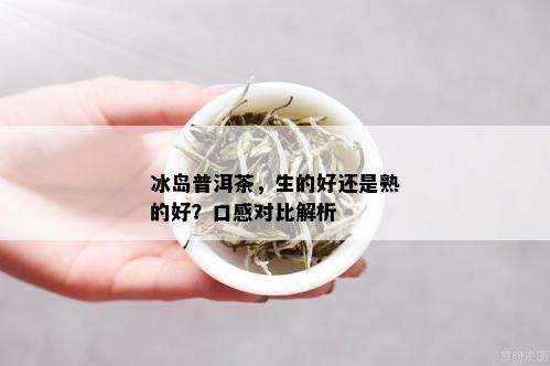 冰岛普洱茶，生的好还是熟的好？口感对比解析