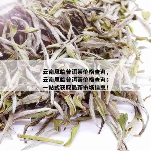 云南凤临普洱茶价格查询，云南凤临普洱茶价格查询：一站式获取最新市场信息！